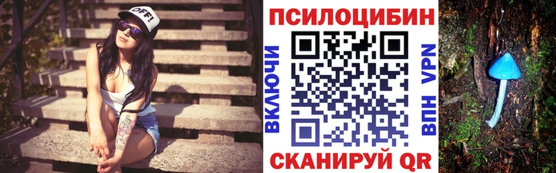 купить наркотики цена  Нижний Новгород  Галлюциногенные грибы Magic Shrooms 