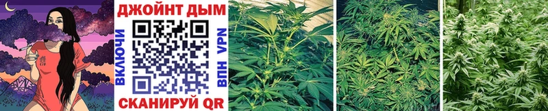 где можно купить наркотик Нижний Новгород Конопля VHQ